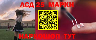 мдпв Бийск