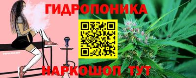 прущие крисы Берёзовский