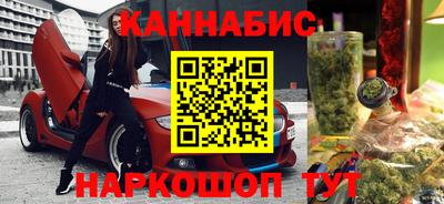 мдпв Бийск