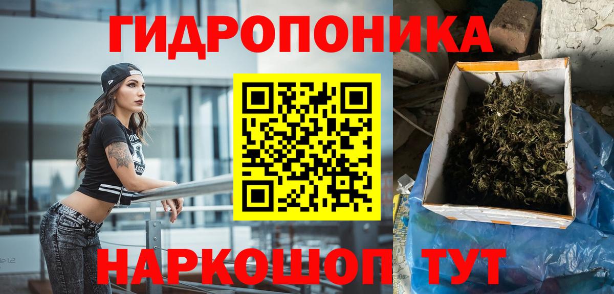 Каннабис план Зима